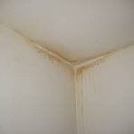 nicotine aanslag plafond